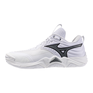 MIZUNO WAVE MOMENTUM ELITE